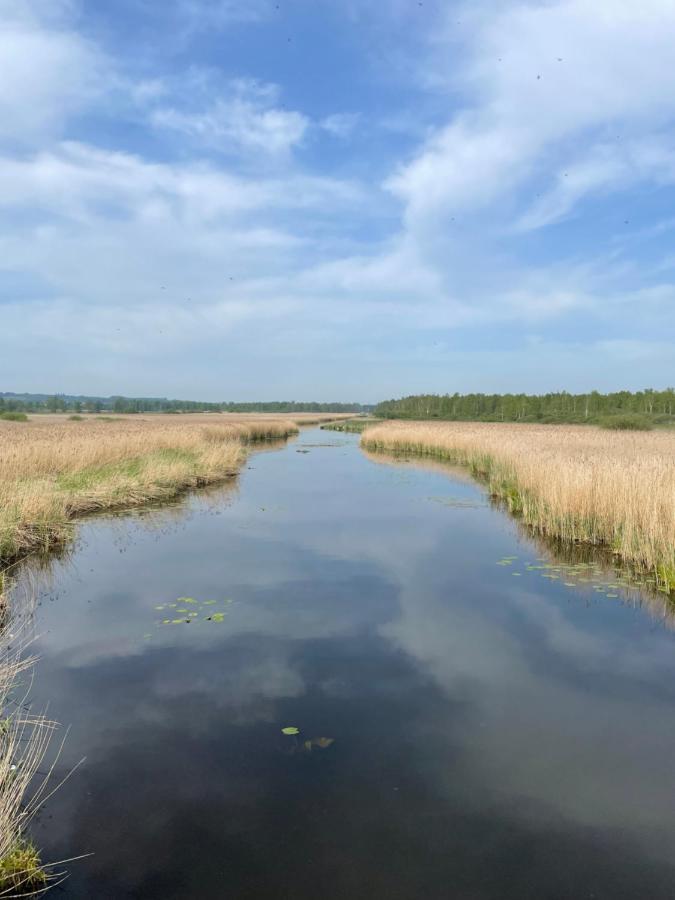 Auszeit Am Federsee 巴特布考 外观 照片